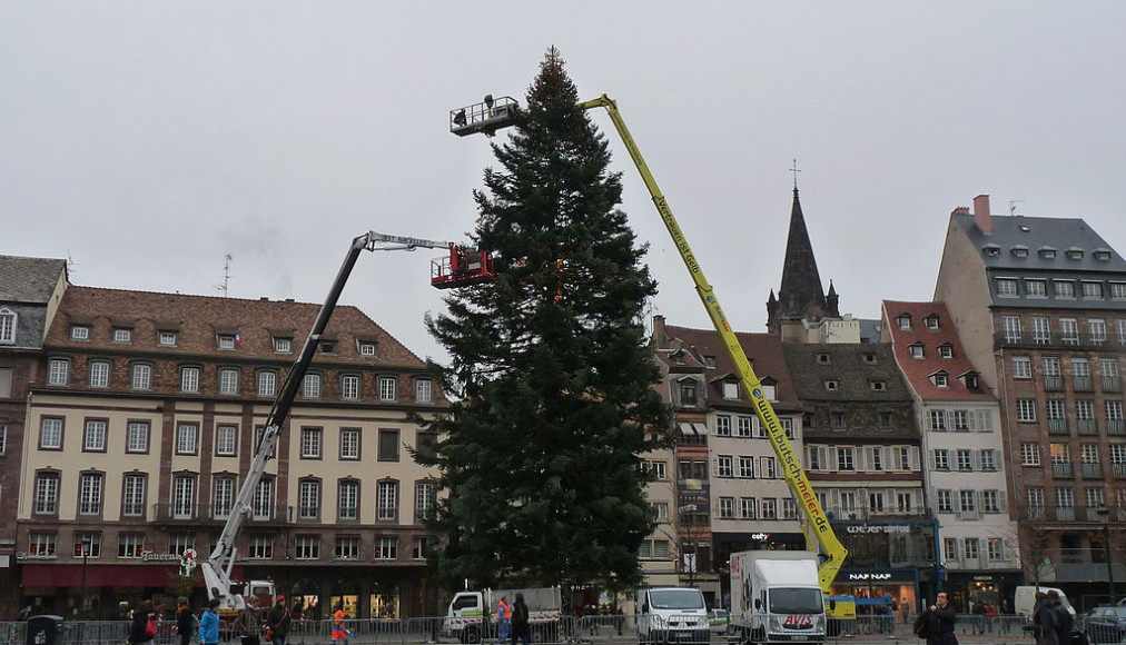 Installation du sapin de la place Kléber à Strasbourg / ©Ji-Elle, CC BY-SA 3.0 Wikimedia Commons